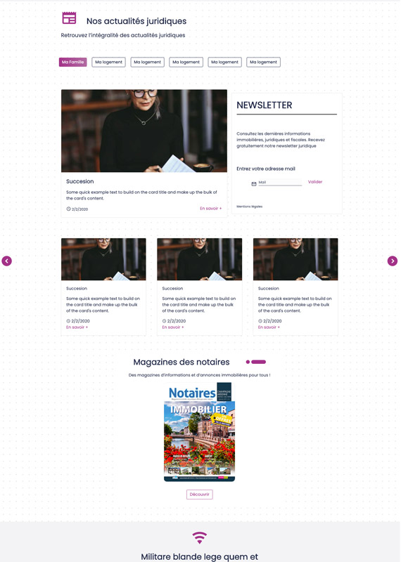 visuel maquette template website